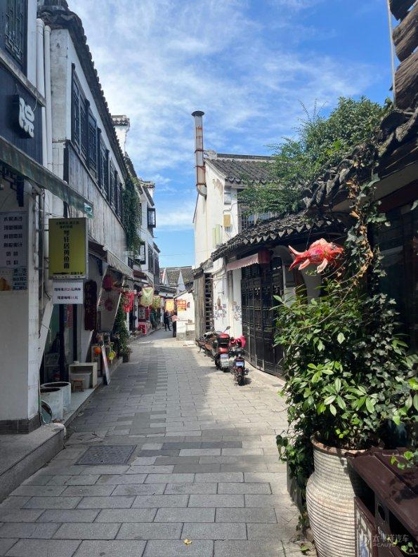 越过篱笆